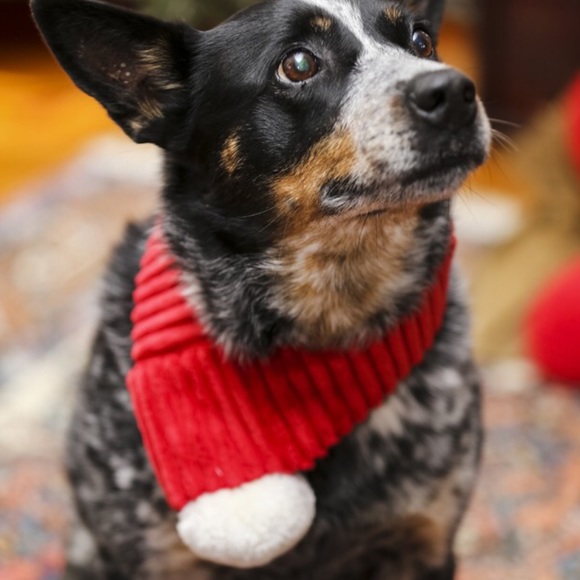 NWT HuggleHounds Christmas Dog Scarf - Picture 13 of 14
